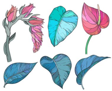 Tropik palmiye yaprakları, çiçekler, orman bitkileri.