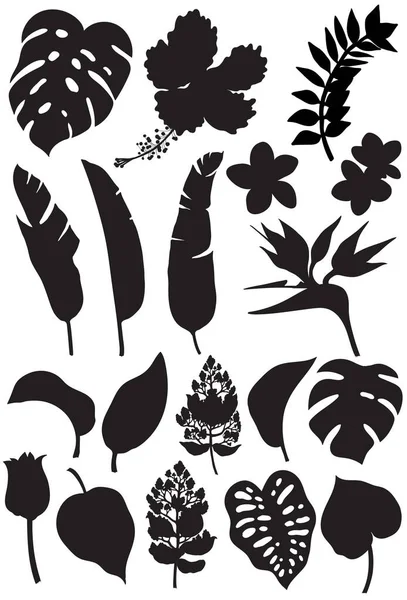来自丛林、树叶和花朵的热带植物元素 — 图库矢量图片