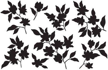 Zarif ve minimalist çiçek şekilli manolya dallı siluetler..