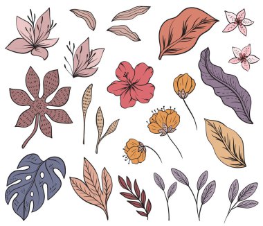 Dekoratif el yapımı çiçekler ve yumuşak bir pastel sonbahar renk paletinde yapraklar içeren vektör illüstrasyon seti. Modern, soyut botanik elementleri içerir