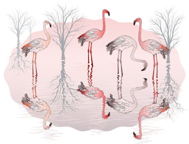 pembe flamingo grup ile doğa arka plan