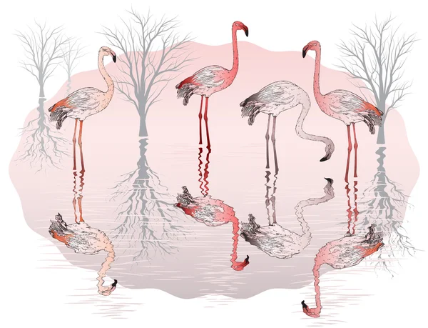 Fond nature avec groupe de flamant rose — Image vectorielle