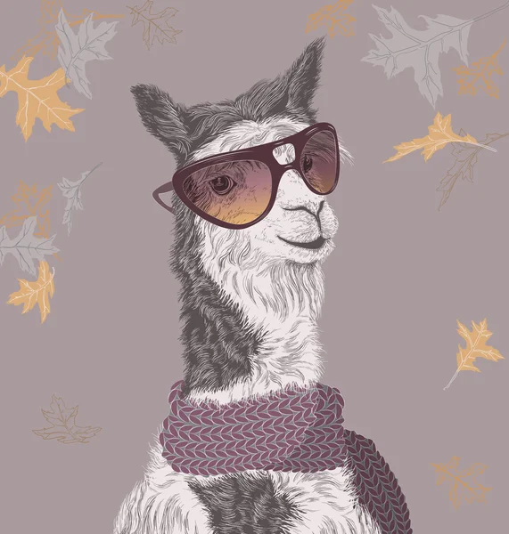 Güneş gözlüğü ve eşarp sonbahar arka plan üzerinde Lama