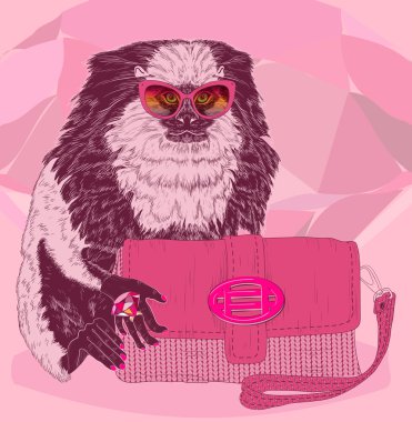 Pembe el çantası ile göz alıcı moda marmoset