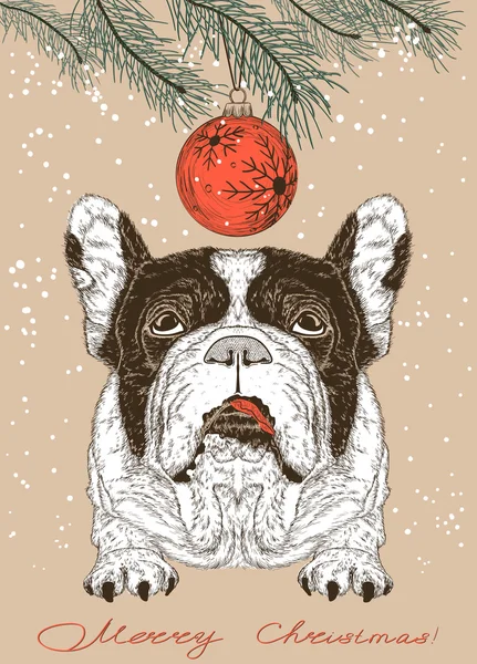 Ilustração de Natal de Bulldog francês — Vetor de Stock