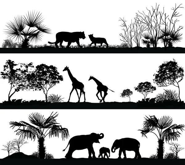 Wild animals (giraffe, elephant, lion) in different habitats — Stock Vector