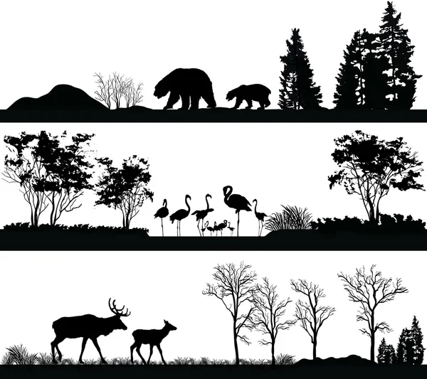 Wild animals (bear, Flamingo, deer) in different habitats Royalty Free Stock Vectors