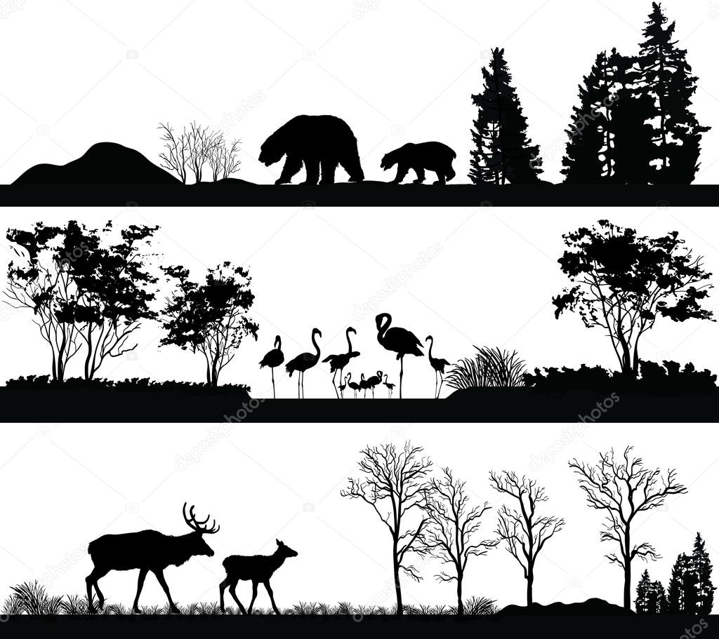 wild animals (bear, Flamingo, deer) in different habitats