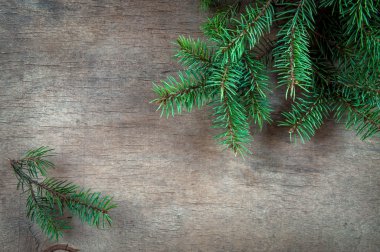 ahşap bir masa üzerinde çam dalları