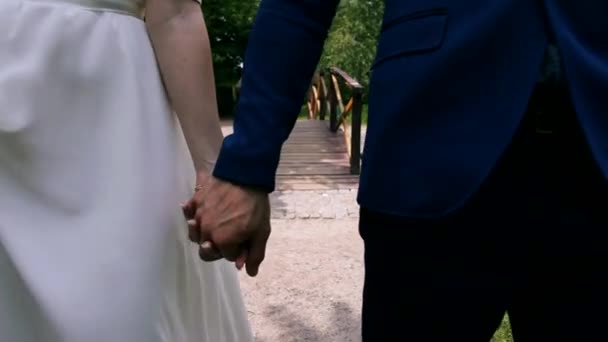 Молода пара йде рука в руці крупним планом — стокове відео
