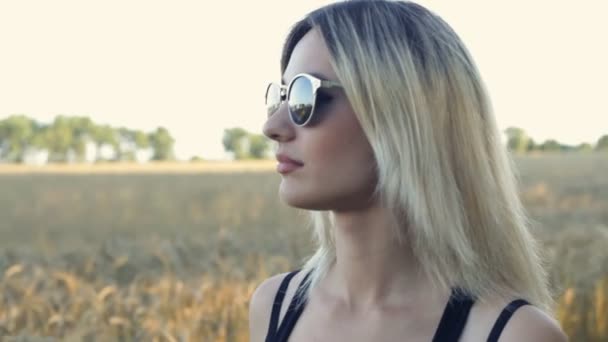 Портрет красивої блондинки з сонцезахисними окулярами, що йдуть на полі стиглої пшениці — стокове відео