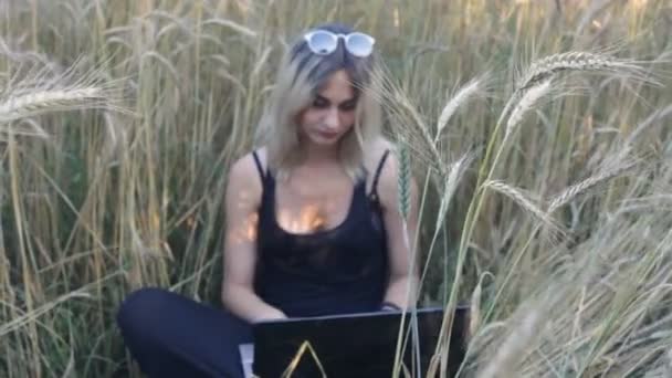 Beautiful blonde sits among ripe wheat ears and uses a laptop — Stock Video