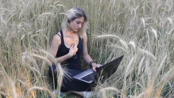 Sexy blonde sits at meadow wheat field and uses a laptop — Stock Video