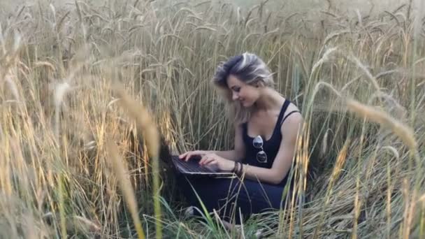 Beautiful blonde sits among ripe wheat ears and uses a laptop — Stock Video