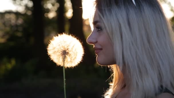 Mulher soprando dente-de-leão no prado ao pôr do sol — Vídeo de Stock