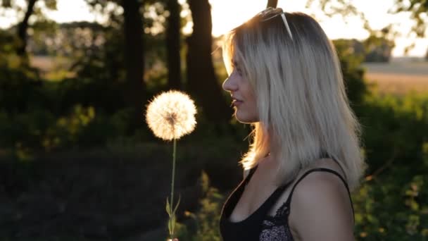 Hermosa chica soplando diente de león en el prado al atardecer — Vídeo de stock