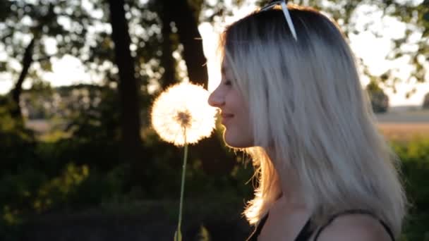 Красива дівчина дме кульбабу на лузі на заході сонця — стокове відео