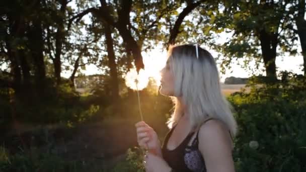 Menina bonita soprando dente-de-leão no prado ao pôr do sol — Vídeo de Stock