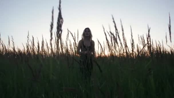 Girl goes on a field with high grass in the evening at sunset — Stock Video