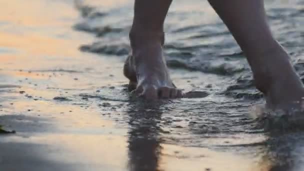 Bare legs feet young girl walking by ocean shallows — Stock Video