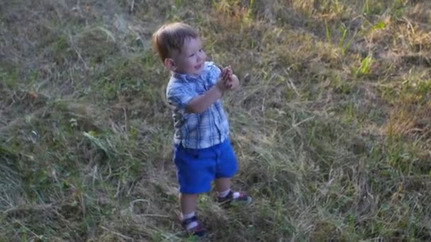 Menino bate palmas com as mãos e cai na grama — Vídeo de Stock