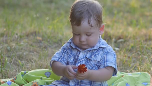 Крупным планом маленького ребенка, держащего цветок в замедленной съемке — стоковое видео