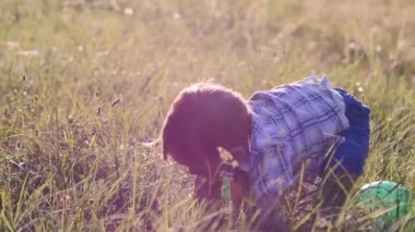 Bir yaşında Fuarı-kafa yakışıklı ilk adımlarını yapıyor