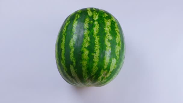 Watermelon rotates on a white background — Stock Video