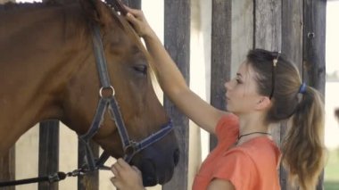 bir at fırçalama kız