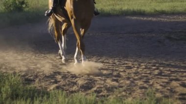 Atların toynakları close-up. Kurlar at koştu toz yapar