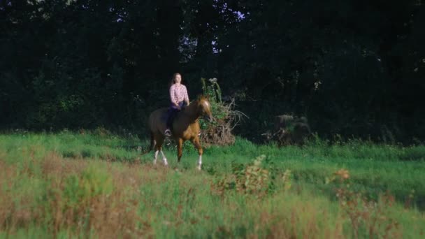 Belle fille chevauchant un cheval à la campagne au ralenti — Video