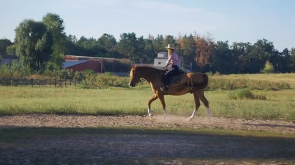 Belle fille chevauchant un cheval à la campagne au ralenti — Video