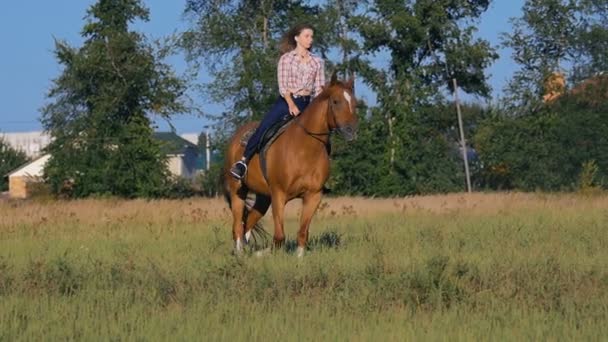 Menina bonita montando um cavalo no campo em câmera lenta — Vídeo de Stock