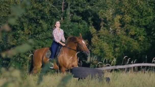 Hermosa chica montando un caballo en el campo en cámara lenta — Vídeo de stock