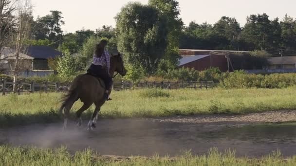 Hermosa chica montando un caballo en el campo en cámara lenta — Vídeos de Stock