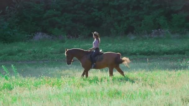 Chica jinete en sombrero montando un caballo en el prado al atardecer en cámara lenta — Vídeos de Stock