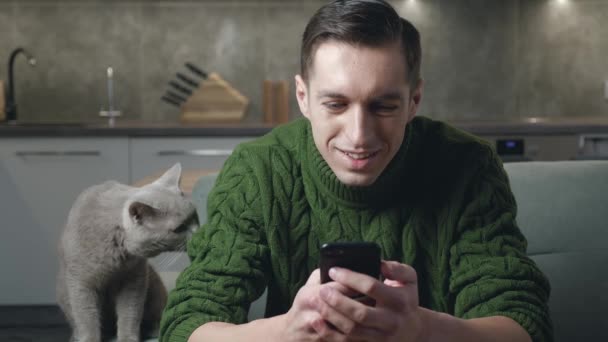 笑顔の白人男性でセーターでソファの上に座っています居心地の良い家庭で猫とスマートフォンサーフィンインターネットソーシャルメディアを使用して、ビデオを見ます — ストック動画