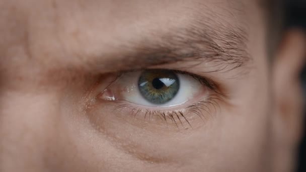 Närbild porträtt av arga män öga. Aggressiva manliga ögon blinkar och tittar allvarligt på kameran. — Stockvideo