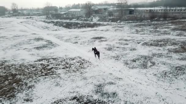 冬天，空中拍摄的黑发女子骑着一匹美丽的黑马在田野或雪地覆盖的农场上。骑马，马术运动。骑在外面雪地里散步的女骑手 — 图库视频影像