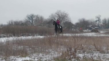 Genç esmer kadın, güzel siyah bir ata ya da kışın karla kaplı bir çiftliğe biner. At biniciliği, binicilik sporu. Karlı havada yürüyen ata binen bir kadın.