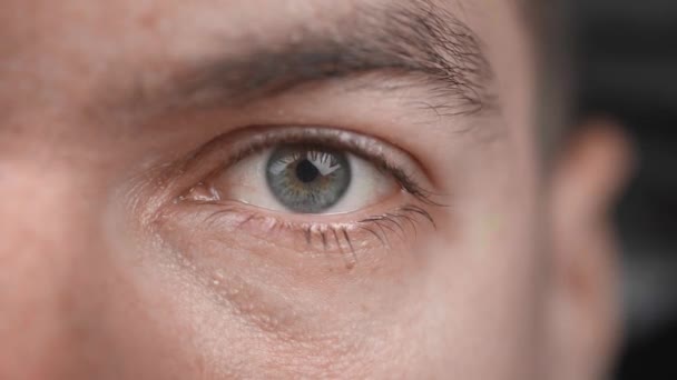 Zavřít portrét mužského šedého oka. Krásné mužské oči blikají a dívají se do kamery. — Stock video