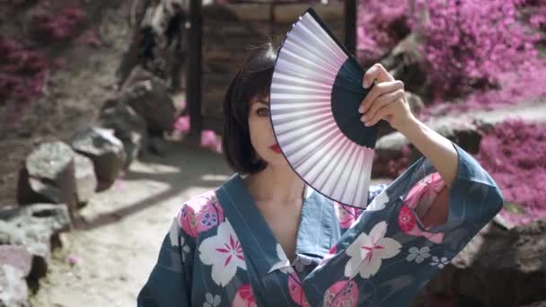 Close-up de mulher gueixa caucasiana em quimono japonês tradicional está cobrindo seu rosto com ventilador de mão de madeira, de pé ao ar livre no fundo vermelho sakura árvores — Vídeo de Stock