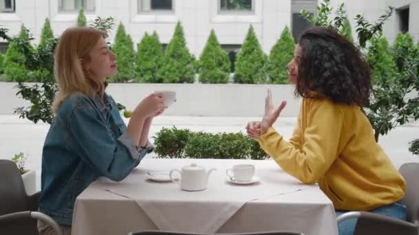 Two beautiful diverse women friends are sitting in a cafe and talking. Caucasian blonde and curly african american females friends having coffee break in cozy outdoors cafe — Stock Video