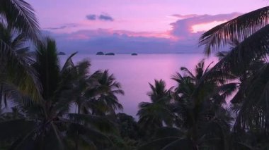 Pembe ve mor gökyüzü, siluet palmiyeler ve sahilde sakin okyanus dalgaları ile çarpıcı tropikal gün batımı. Tropikal günbatımının sinematik hava görüntüsü, tropikal adalar denizden görülebilir..