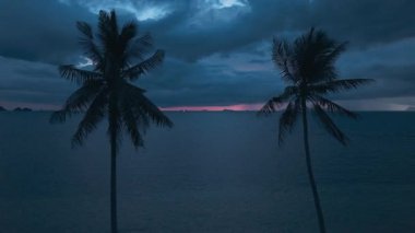 Sinema robotu geceleyin iki palmiye ağacının arasından denize uçar. Denizde alacakaranlık, gün batımından çok sonra, fırtınadan önce dramatik bulutlu gökyüzü. Geceleri tropik plajlarda palmiye ağaçlarının siluetleri.