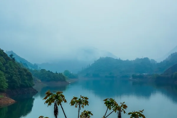 Ranna mgła nad jeziorem — Zdjęcie stockowe