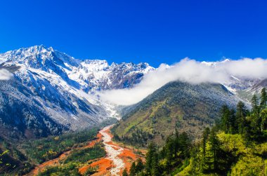 Mt. Gongga(Minya Konka) No.1 buzul yakın çekim. Resimdeki çakılların buzul yüzey var. Sichuan Çin Hailuo vadisinde (Hailuogou) alınan.