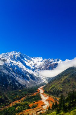 Mt. Gongga(Minya Konka) No.1 buzul yakın çekim. Resimdeki çakılların buzul yüzey var. Sichuan Çin Hailuo vadisinde (Hailuogou) alınan.