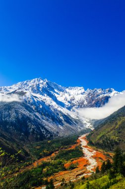Mt. Gongga(Minya Konka) No.1 buzul yakın çekim. Resimdeki çakılların buzul yüzey var. Sichuan Çin Hailuo vadisinde (Hailuogou) alınan.