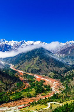 Mt. Gongga(Minya Konka) No.1 buzul yakın çekim. Resimdeki çakılların buzul yüzey var. Sichuan Çin Hailuo vadisinde (Hailuogou) alınan.